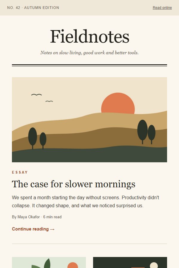 Preview of the Newsletter email template